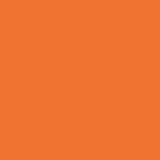AVERY 4500 BIANCO 1,23 X 50 MT 4543_PUMPKIN_ORANGE