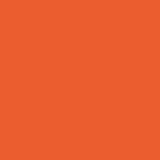 AVERY 800 BIANCO 1,23 X 50 MT 848_BRIGHT ORANGE