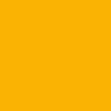 AVERY 800 BIANCO 1,23 X 50 MT 856_DARK YELLOW