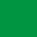 AVERY 800 BIANCO 1,23 X 50 MT 879_BRIGHT GREEN