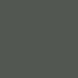 AVERY 800 BIANCO 1,23 X 50 MT 881_DARK GREY
