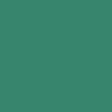 POLI-FLEX NYLON BIANCO 0,50 x 25 MT 4804_GREEN