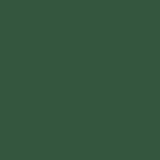 POLI-FLEX NYLON BIANCO 0,50 x 25 MT 4807_FOREST GREEN