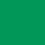 AVERY 800 BIANCO 1,23 X 50 MT 812_CACTUS GREEN