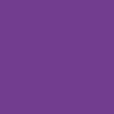 AVERY 800 BIANCO 1,23 X 50 MT 817_VIOLET