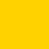 AVERY 800 BIANCO 1,23 X 50 MT 839_BRIGHT YELLOW