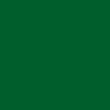 AVERY 800 BIANCO 1,23 X 50 MT 878_LEAF GREEN