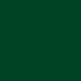 AVERY 900 BIANCO LUCIDO 1.23 X 50 MT 916-01_DARK GREEN
