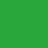 AVERY 900 BIANCO LUCIDO 1.23 X 50 MT 956_GRASS GREEN