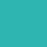AVERY 900 BIANCO LUCIDO 1.23 X 50 MT 965_MINT