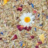 ORGANOID ORIGINAL ALPINE HAY 1,36 X 10MT 80_MOUNTAIN HAY MARGUERITES